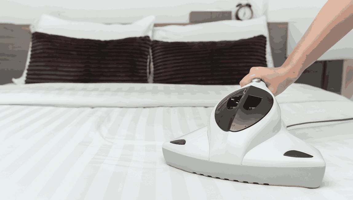 Professional Mattress Cleaning Wendouree